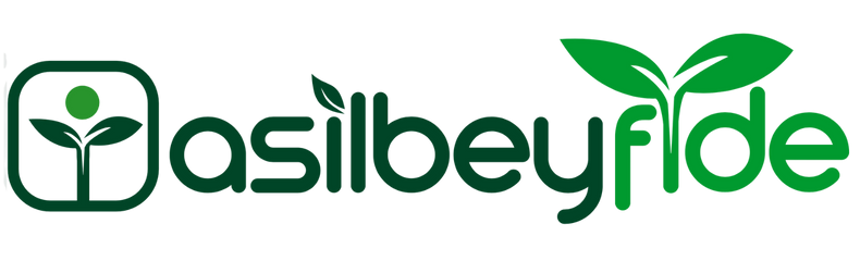Asilbey%20Fide
